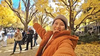 TOKYO🇯🇵 Shake Shack in the Golden Ginkgo Tree Avenue🍔🍁 JAPAN LIVE