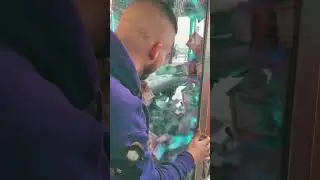 Watch this smart guy catch cash #Smart #Klug #Inteligent #ذكي #스마트 #Seumateu #&Auml;lyk&auml;s #Intelligent