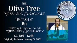 Bo 86 - They Will Look on Me Whom They Have Pierced - Olive Tree Messianic Synagogue