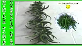 COMO CONSERVAR PIMIENTOS PICANTES/GUINDILLAS (en seco)