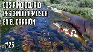 EDS Pino del Río | Jornada Express pescando a mosca en el río Carrión