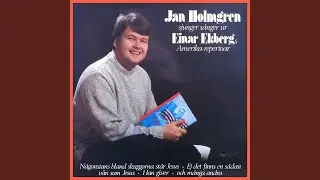 Jag &auml;r ej ensam