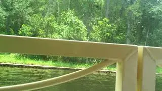 Disney's Port Orleans Riverside Resort Tour