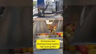 Brush Type Fruit and Root Vegetable Washing and Drying Machine