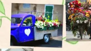 International Flower Delivery Across The Globe