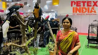 PETEX 2023 || Pet Show in Hyderabad 2023 || PETEX Hyderabad 2023 in Telugu