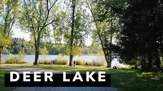 【4K】 Deer Lake walking trail in Burnay part.4