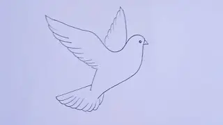 how to draw flying bird drawing easy step for beginners@kids drawing talent