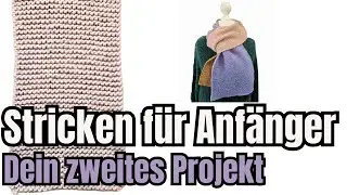 Dein zweites Anf&auml;nger Projekt - Video Tutorial