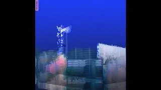 BD1982 - Platinuum