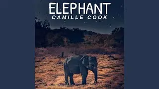 Animal Instinct
