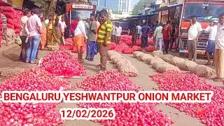 Today Onion Rate in Bangalore RMC Mandi 🚜📊 | Latest Price Update & Market Trend Today