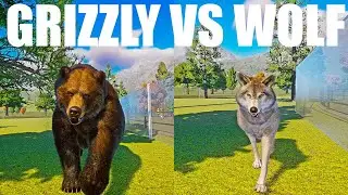 Grizzly Bear vs Timber Wolf an Epic Speed Race in Planet Zoo