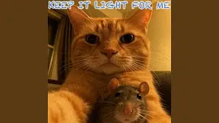 Let It Be A Bit Silly