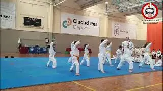 Karate Alevines Festival 2025