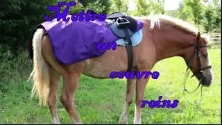 TUTORIEL BLONDISSIME - Mettre un couvre reins