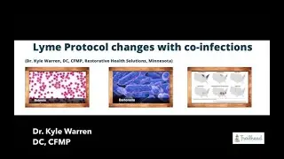 A good protocol for Lyme disease should vary, depending on co-infections. Dr. Kyle Warren explains: