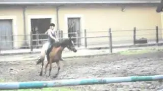 Pony schloss Gadow 2010 ;)