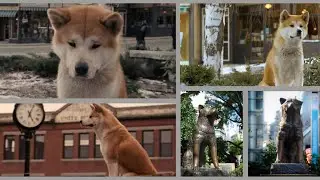 約束の場所で🐕ハチ公2
