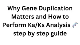 Why Gene Duplication Matters and How to Perform Ka/Ks Analysis 🧬 step by step guide
