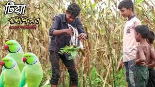 parrot bird | parrot bird trap | parrot bird trapeasy | parrot bird catching | parrot birdhuntingl