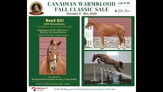 Lot 33 - Bond Girl - 2020 Fall Classic Sale Online Auction