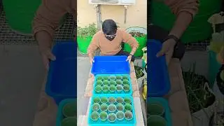 Buying pots for plants | Shopping for my garden