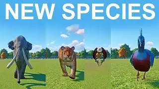 New Species Category Speed Race in Planet Zoo included African Fish Eagle, Pigeon ,  Mammoth