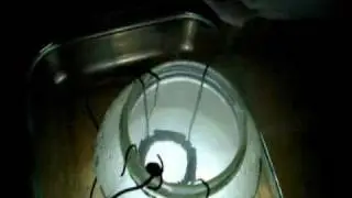 Cold Fusion is Fun
