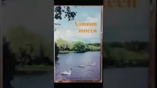 Aamuun uuteen. Laulun tekijä Allan L Mäntyniemi   Artisti Saara mäntyniemi.