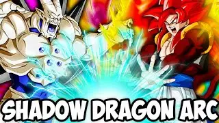 THIS TEAM IS STILL 😱🔥 SHADOW DRAGON ARC CATEGORY | Dragon Ball Z Dokkan Battle