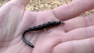 N&aacute;strahy na pstruhy - pr&iacute;vlačov&eacute; n&aacute;strahy FAT SCALY (Fish Up) - popis a pr&aacute;ca s nimi