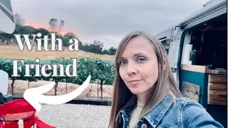 24 BRIX Winery with a Friend | Plymouth, CA | Solo Female Travel