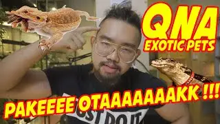 YOU REALLY HAVE TO ANSWER THE REPTILE QNA!! #AudreyA #Indoexoticpets