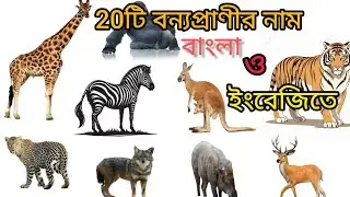 20টি বন্য প্রনীর নাম/বন্যপ্রাণী নাম বাংলা এবং ইংরেজিতে /Wild Animals Name