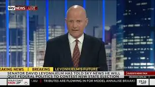 David Leyonhjelm on gender quotas in politics