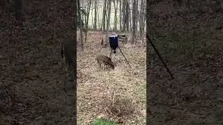 2024 Ohio Deer Gun Week