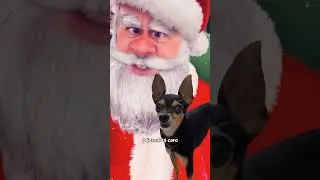 DINGO BELL - O HIT DE NATAL DO ZORRO! parte 4