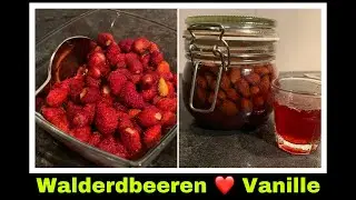 Erdbeerlik&ouml;r ansetzen | Walderdbeeren und Vanille Rezept | Selbstversorgung