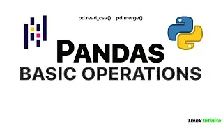 Basic Pandas Functions (Python) - Think Infinite