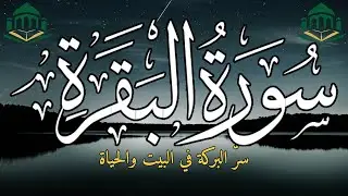 سورة البقرة صباحًا لجلب البركة والرزق وراحة القلب والحفظ من كل سوء مع بداية اليوم 🌅🤍✨