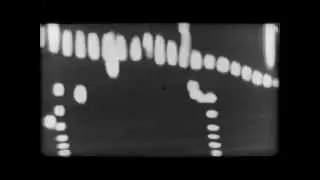 The Primitives - Rattle My Cage