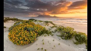 Just Listed in Beau Vallon, West Beach