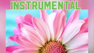 Instrumental | Relaxation | Meditation | Anxiety | Study | Spa | Study