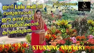 Flower plant nursery in kochi/ garden visit /plant shopping/Online Plants & Pots Nursery In Kerala