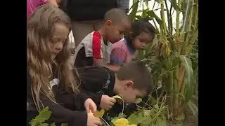 Hands-On Farming Lessons for Preschoolers Fight Childhood Obesity