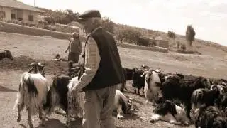 Kırşehir-ÇiçekDağı-Alan Köyü
