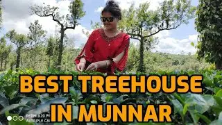 #Munnar #Treehouse Best Tree House In Munnar, Bison Valley, Kerala- Dream Catcher Plantation Resort.