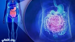 معالج الجهاز الهضمي 🦠[ ديتوكس تشافي كامل ]🧬