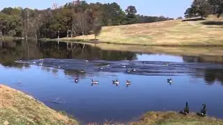 Lakewinds Golf Course